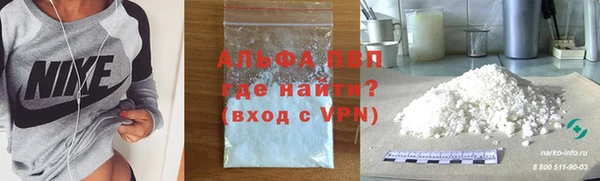 гашик Тутаев