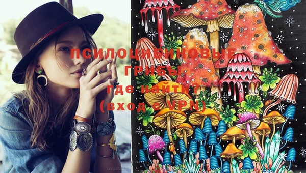 индика Тобольск