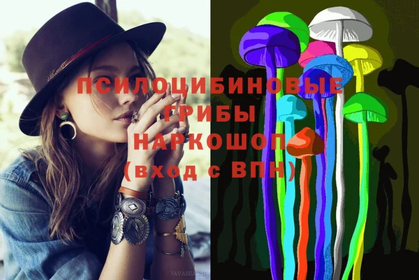 гашик Тутаев