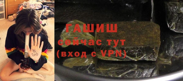 индика Тобольск