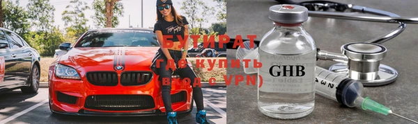 индика Тобольск