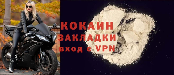 индика Тобольск