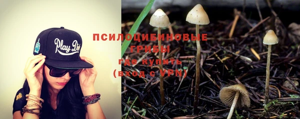 apvp Бронницы
