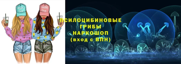 индика Тобольск