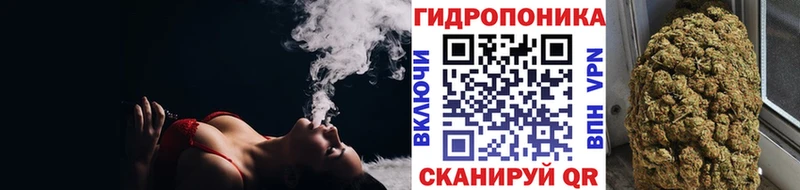 Марихуана сатива  hydra ТОР  Карабаш 